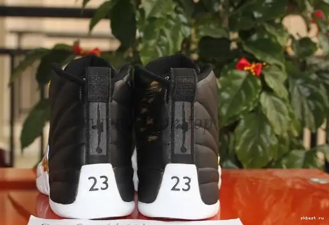 Air Retro Wings Jordan 12 Authentic 0519